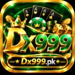 Luxurious Dx999 Casino Badge